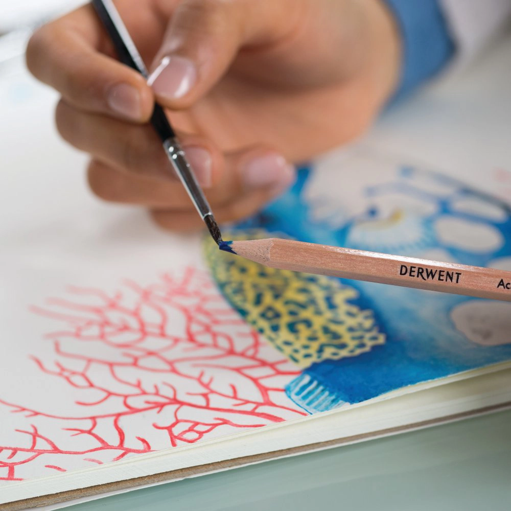 Caja de Lápices Acuarela 24 Colores – Pigmentos Solubles en Agua