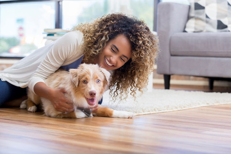 Algunos Gadgets tecnológicos par los amantes de las mascotas!!