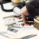 Corchetera Rapid HD31 Metálica